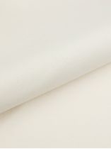 Tee-Shirt Interlock Grande Taille Ecru